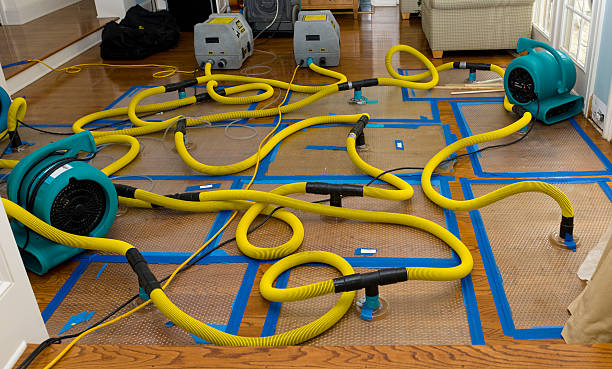 Professional Water Damage Repair technician working in Franklin, OH